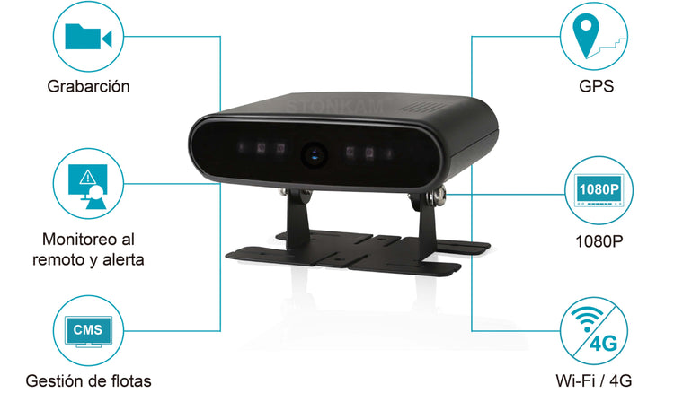 Driver monitoring system model - DMS-31